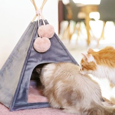 Katzen-Tipi Katzenzelt für Haustiere kleine Hunde kostenlose Schnittmuster Gratis-Nähanleitung