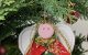 weihnachtsengel christbaumschmuck weihnachtsdekoration weihnachten engel dekoration tannenbaum schmuck anhaenger kostenlose schnittmuster gratis naehanleitung