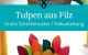 Tulpen Filz Blumen Fruehling Deko naehen kostenloses schnittmuster gratis pdf download naehidee