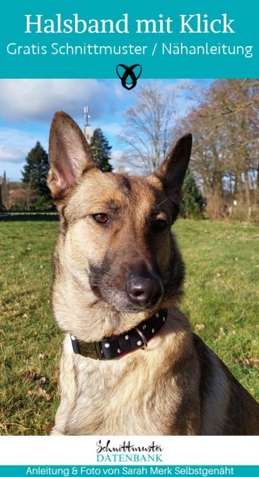hundehalsband mit klickverschluss naehen kostenlos gratis Freebook naehidee naehanleitung