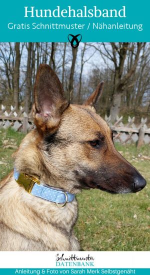 Hundehalsband verschluss gepolstert naehen kostenlos gratis Freebook naehidee naehanleitung