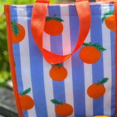 kuehltasche coolio naehen kostenlos isolierte tasche mit reissverschluss gratis freebook